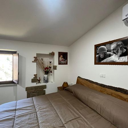 Dimora Forgione B&B - ปิเอเตรลชินา ภายนอก รูปภาพ